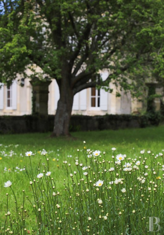 A 19th-century house bordered by a moat, in the Pays d'Auge region, in Normandy  - photo  n°39